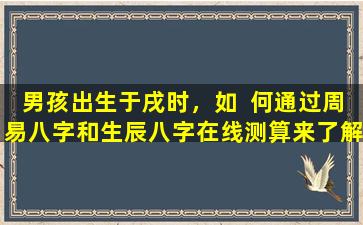 男孩出生于戌时，如  何通过周易八字和生辰八字在线测算来了解其  五行缺失情况